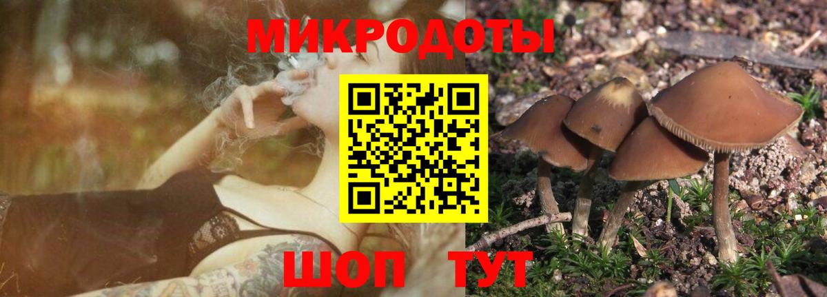 Евпатория  Псилоцибиновые грибы мухоморы  Вход с VPN 